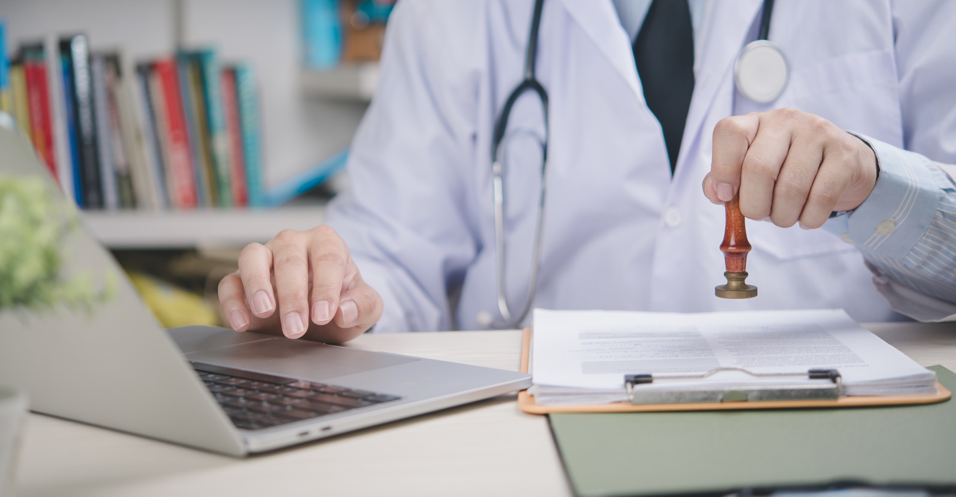 Wartenfels Apotheke Thalgau KG